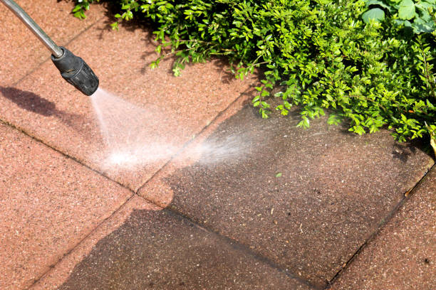  Town N Country, FL Pressure Washing Pros