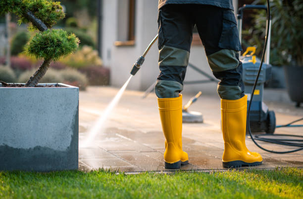 Best Roof Pressure Washing  in Town N Country, FL